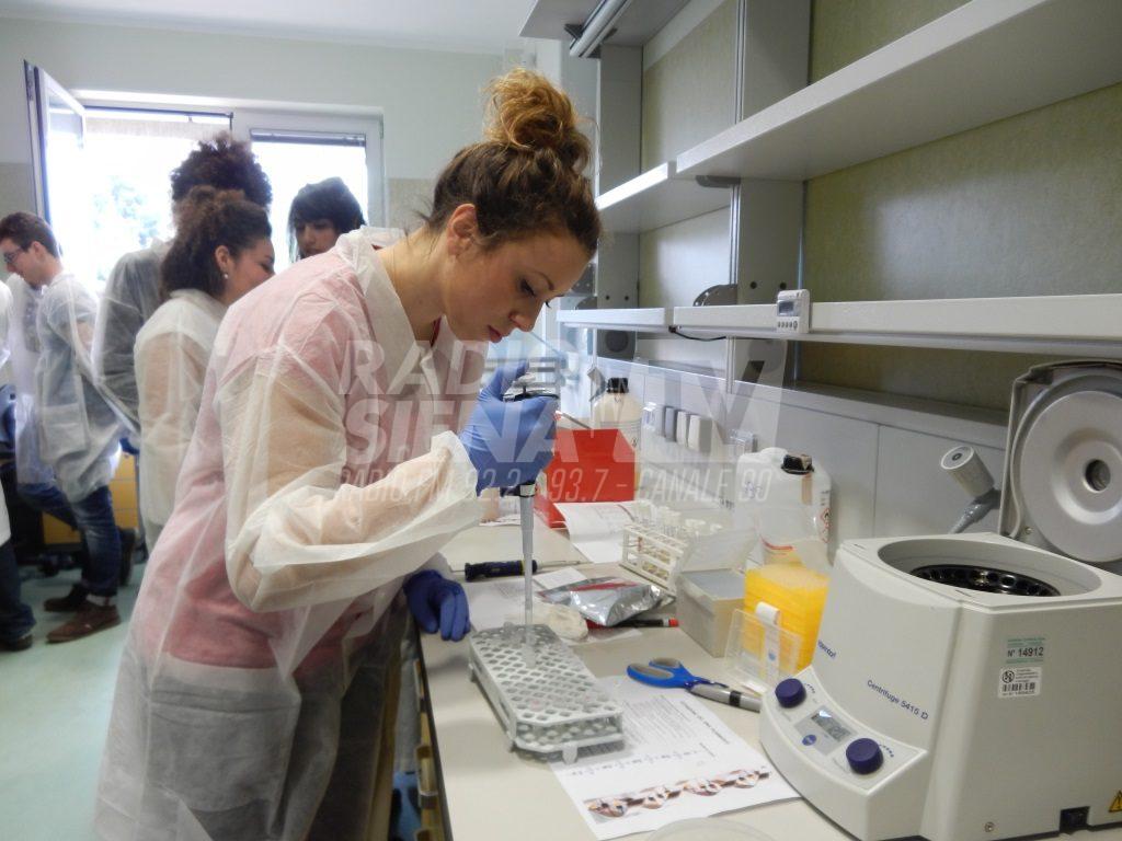 Fondazione ITS Vita di Siena, nasce polo tecnico professionale per le nuove tecnologie della vita