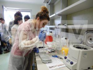 Fondazione ITS Vita di Siena, nasce polo tecnico professionale per le nuove tecnologie della vita