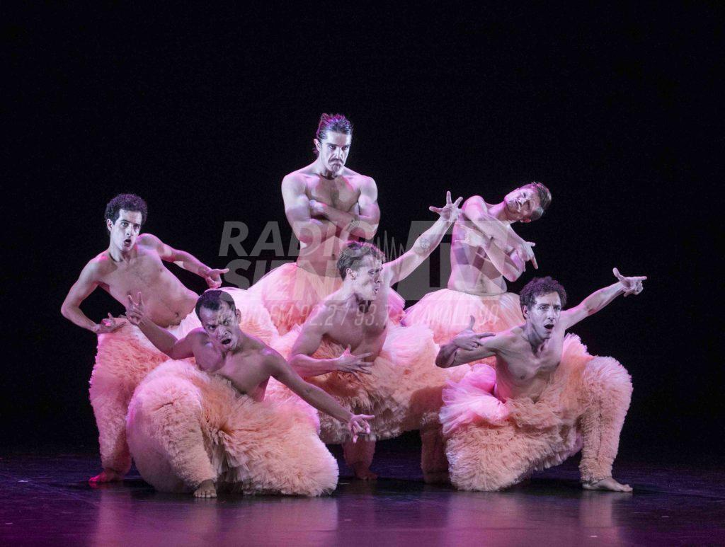 &ldquo;Tut&ugrave;&rdquo;, sul palco dei Rinnovati arrivano il celebrato spettacolo dei Chicos Mambo