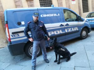 Arrestato a Siena narcotrafficante internazionale