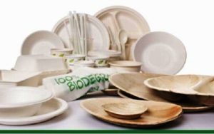 Campo Progressista Siena: "Stoviglie biodegradabili per cene in Contrada e mense"