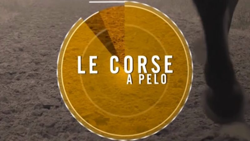 Le corse a pelo