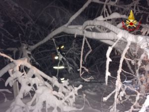 Forte nevicata nella notte all'Amiata, cadono gli alberi sulla strada