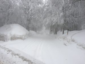 La neve continua ad imbiancare l'Amiata