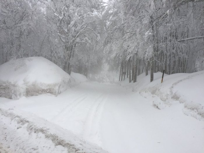La neve continua ad imbiancare l'Amiata