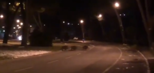 Cinghiali al pascolo in viale Bracci - VIDEO