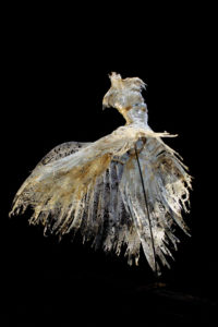 Sabato alle 17 l'inaugurazione della mostra personale di Davide Dall'Osso