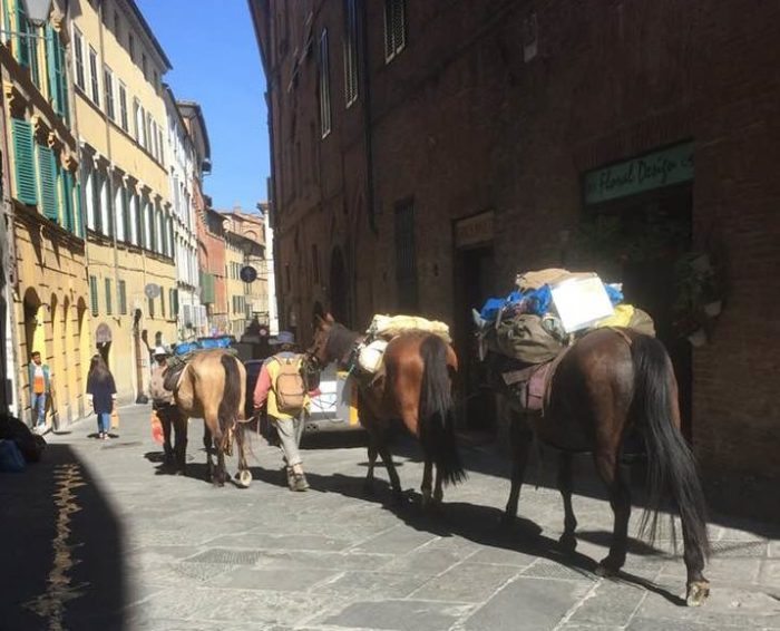 "Niente multa ai pellegrini, solo controllo sulle deiezioni dei cavalli"