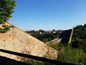 Inaugurato il&nbsp;Giardino dei Profumi, un angolo magico dentro Porta Pispini