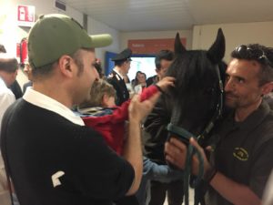 I cavallini di Monterufoli fanno visita ai pazienti di pediatria - FOTO