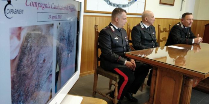Sfregiato con l'acido su ordine dei suoceri