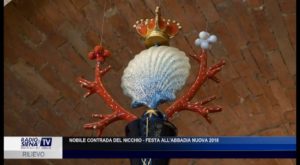 Nobile Contrada del Nicchio  - Festa all'Abbadia Nuova 2018