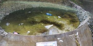 Il parco di pediatria &egrave; in stato di completo abbandono - FOTO