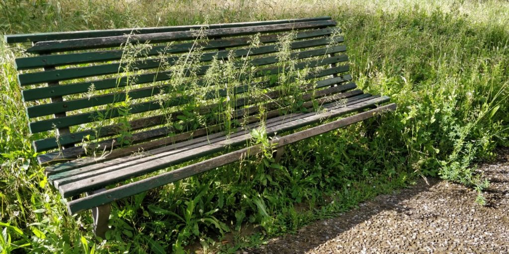 Degrado giardino pediatria, la precisazione dell'Aou Senese