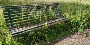 Degrado giardino pediatria, la precisazione dell'Aou Senese