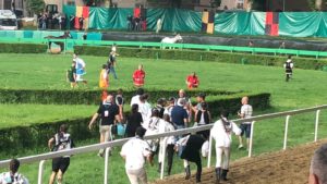 Palio di Ferrara, vince Tremendo su Preziosa Penelope