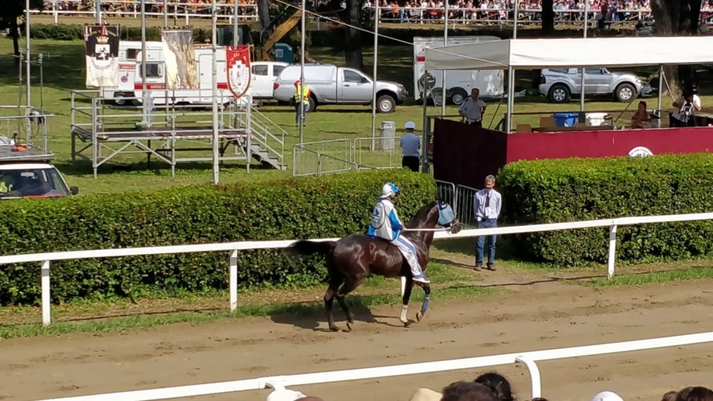 Palio di Fucecchio: il cavallo della  Torre escluso dalla batteria