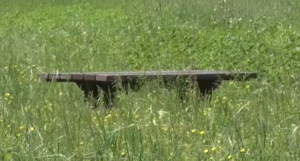 In via Aretina un'area giochi off limits. Erba alta e incuria