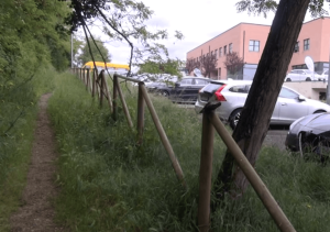 Erba alta e rifiuti, la pista ciclo-pedonabile di Viale Europa &egrave; divorata dal degrado