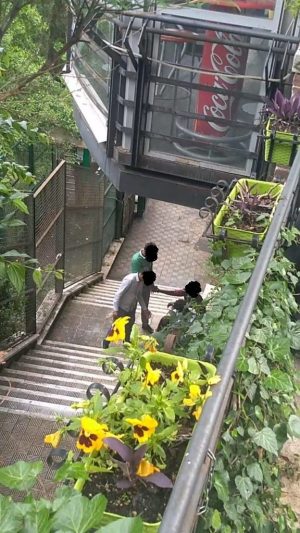 Spaccio in pieno giorno a Siena
