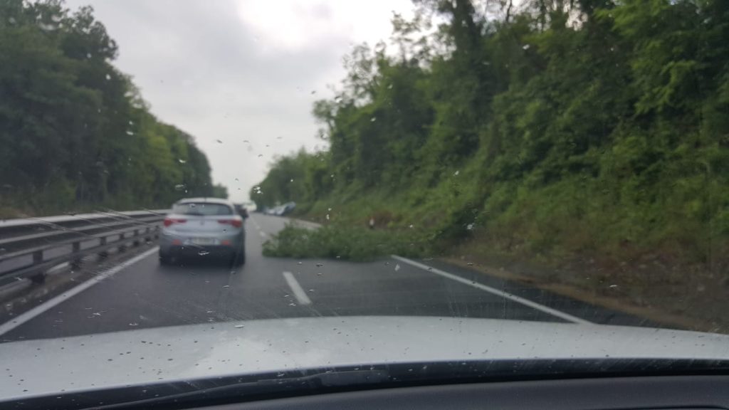 Autopalio, albero cade in strada e provoca un incidente
