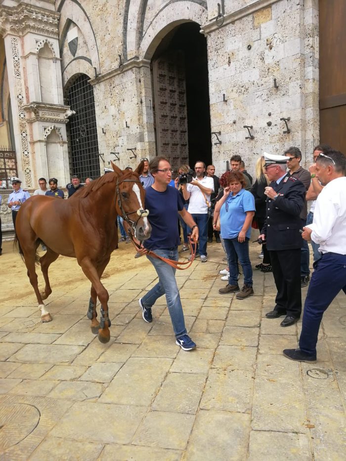 Sono 35 i cavalli ammessi alla Tratta