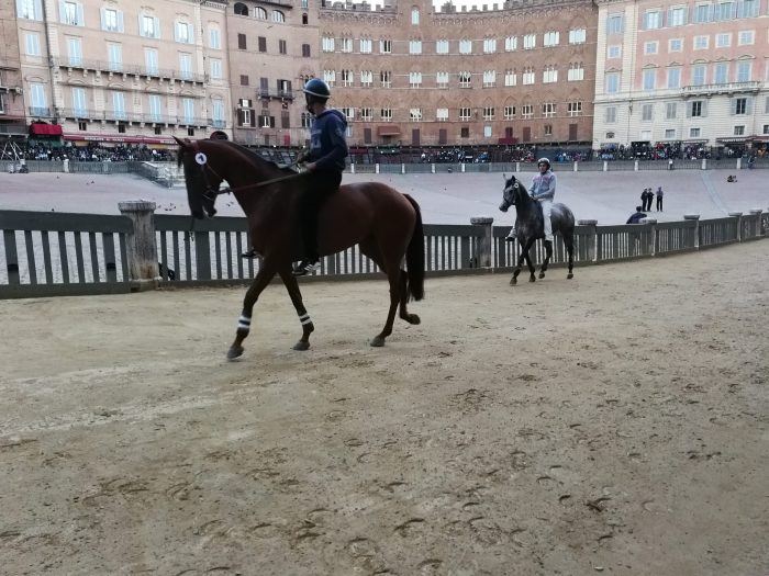 Palio: al via le prove di notte