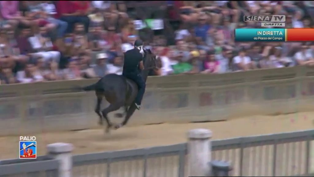 Palio dell'Assunta, ecco i cavalli ammessi alle prove di notte