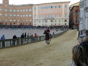 Palio 2 luglio, i cavalli ammessi alle prove regolamentate