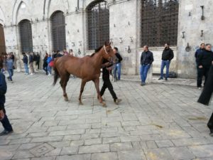 Prove di notte 27 Giugno - PHOTOGALLERY
