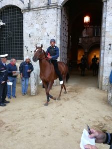 Prove regolamentate, il programma