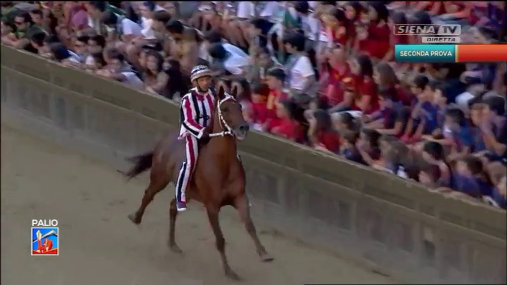 Seconda Prova (Istrice) 30-06-2018