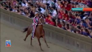 Seconda Prova (Istrice) 30-06-2018