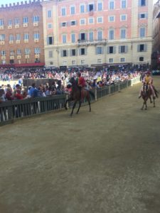 L'Istrice vince la Provaccia