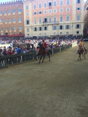 L'Istrice vince la Provaccia