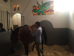 Andrea Mari: "Il mio grazie al Capitano del Drago e al Capitano del Bruco"