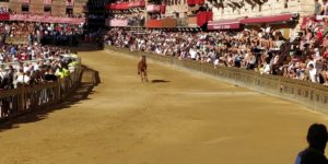 Tratta, le 5 batterie