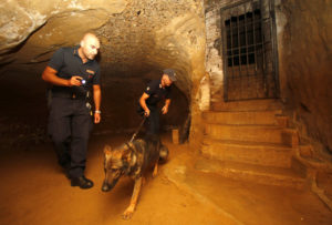 Palio dell&rsquo;Assunta: le misure di sicurezza previste al tavolo tecnico del Questore