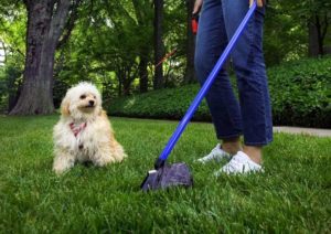 Siena pronta ad ospitare un cimitero per gli animali di affezione