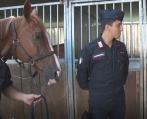 Il tenente Cataldo racconta l'emozione del Drappello dei Carabinieri a cavallo