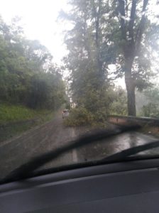 Maltempo: piante cadute e fulmini vicino alle case in Val d'Elsa