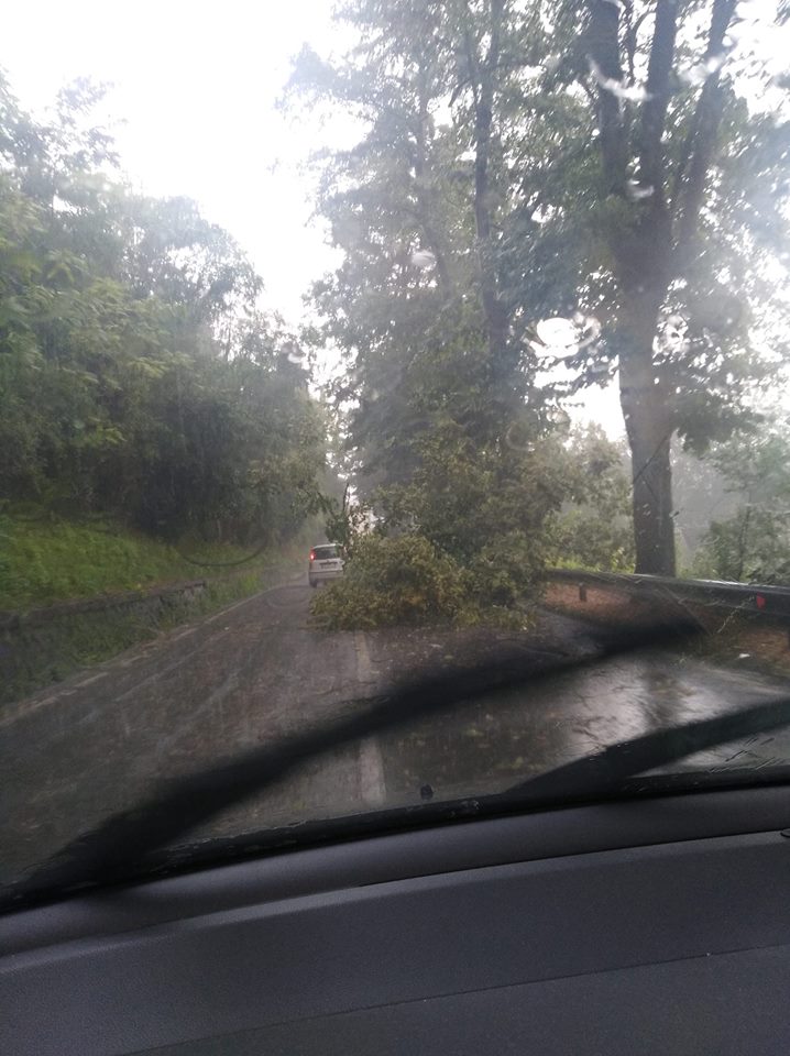 Maltempo: piante cadute e fulmini vicino alle case in Val d'Elsa