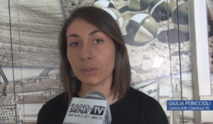 No hate, la Provincia di Siena e i 14 Comuni della rete presentano le buone prassi contro discriminazioni sessuali e di genere