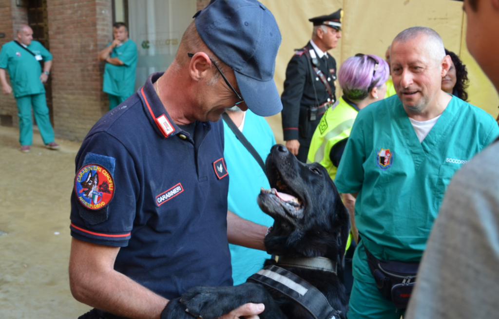 Spaccio e furti in Provincia, controlli a tappeto: in azione anche il cane antidroga Battman