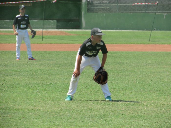 Baseball, al via domenica 9 settembre la Coppa Regione FIBS, ultimo atto della stagione 2018