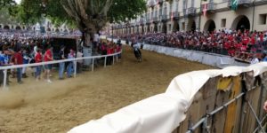 Palio di Asti, seconda batteria: fuori i big