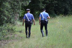 Sparisce un uomo, arrivano i Carabinieri: era nel bosco a cercare funghi