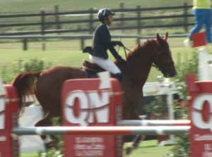 Alle 21 su Siena Tv lo speciale sul Bagnaia Jumping Show Gran Premio de la Nazione