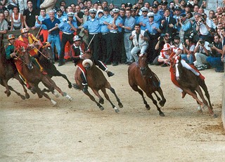 Lutto nel mondo del Palio: è morto il cavallo Ugo Sancez