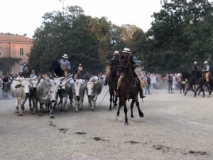 "Nella vecchia fattoria", lo spettacolo continua in Fortezza